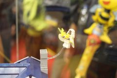 IMG_5569
