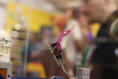 IMG_5574