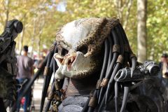 IMG_5893
